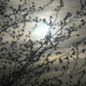 Meet your Posher, Ruben